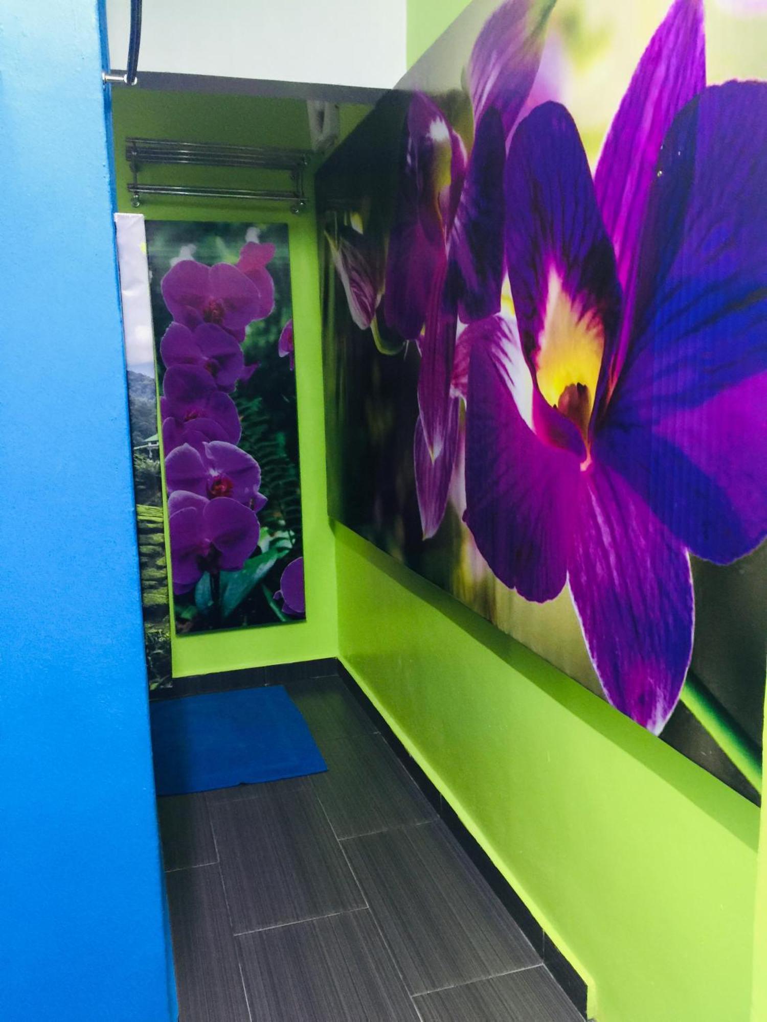 Lily Haven Hotel C-1 Tanah Rata Eksteriør bilde
