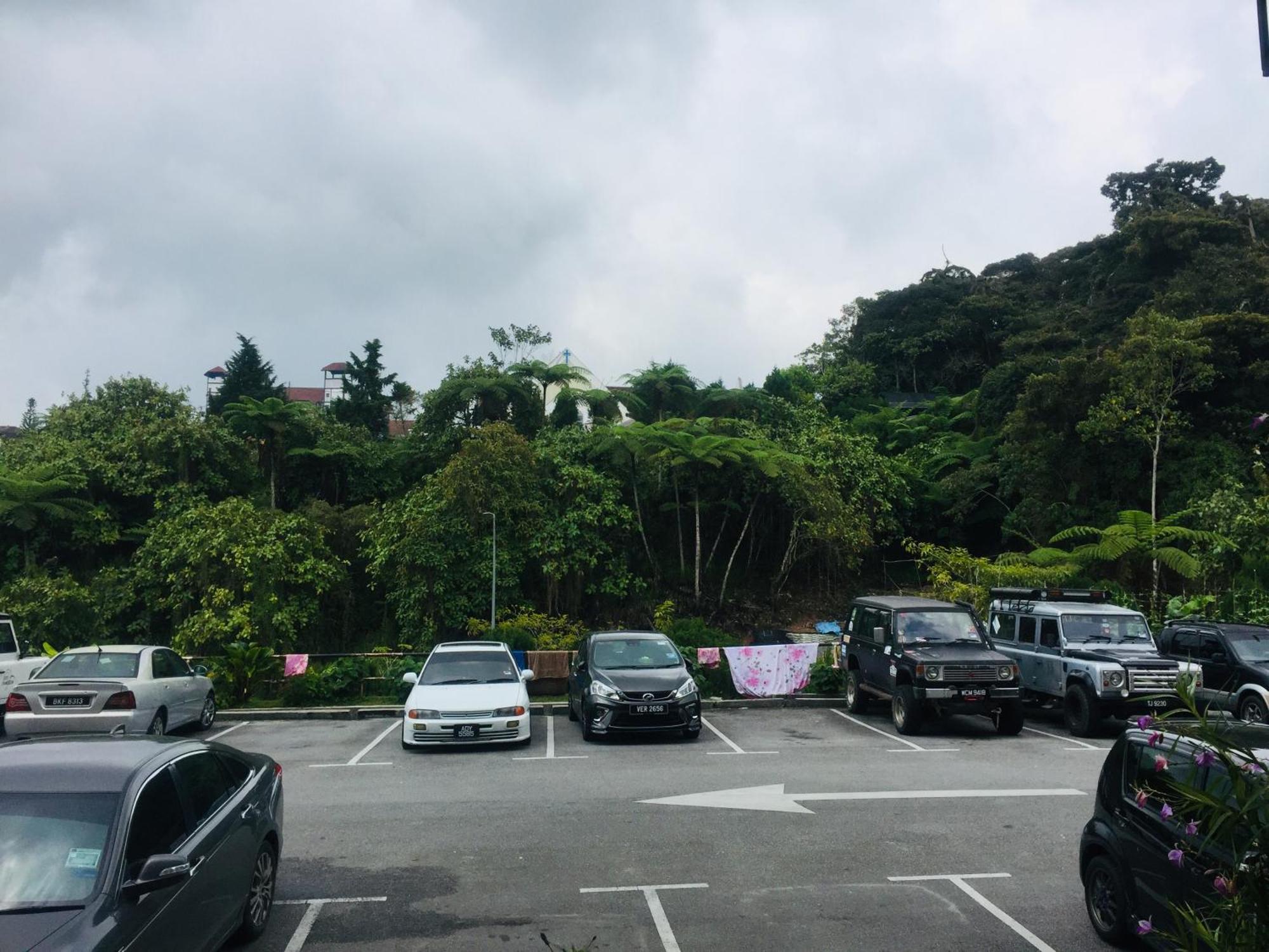 Lily Haven Hotel C-1 Tanah Rata Eksteriør bilde