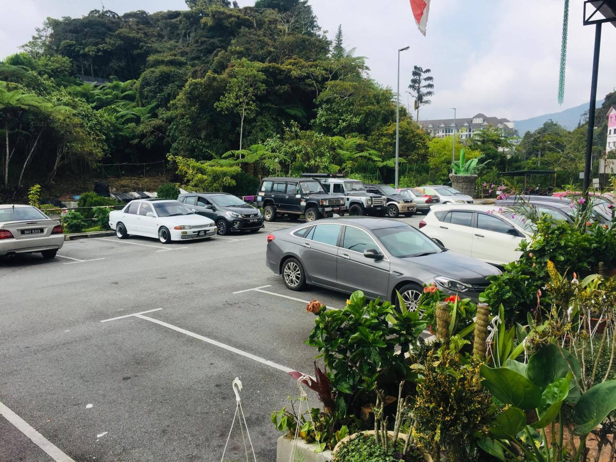 Lily Haven Hotel C-1 Tanah Rata Eksteriør bilde